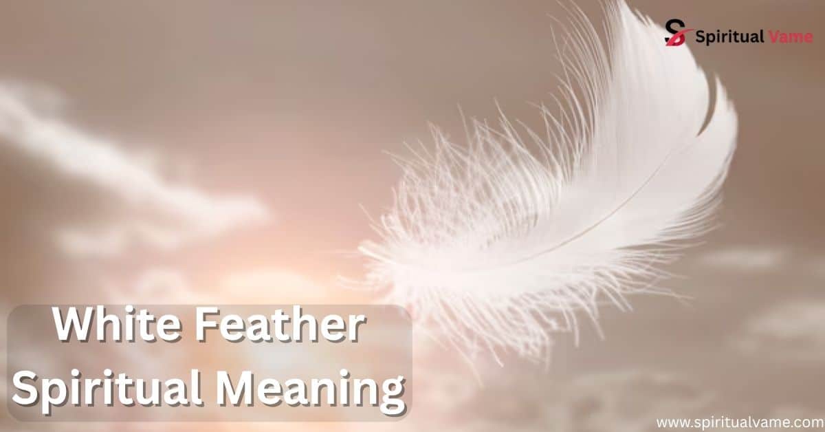 White Feather Spiritual Meaning