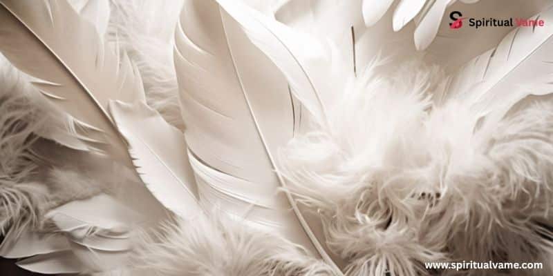 White Feather